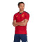 Camiseta España Primera Equipación Authentic Mundial Qatar 2022 Power Red-Navy Blue