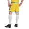 Pantalón corto Suecia Primera Equipación 2022-2023 Yellow