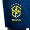 Pantalón corto Brasil Fanswear Mundial Qatar 2022 Coastal Blue-Green Spark