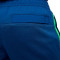 Nike Brazil Fanswear World Cup Qatar 2022 Shorts