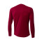 Sudadera FC Barcelona Training 2022-2023 Niño Noble Red