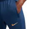 Pantalón largo Nike Francia Training Mundial Qatar 2022