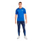 Camiseta Nike Francia Training Mundial Qatar 2022