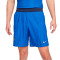 Short Nike Francia Training Mundial Qatar 2022