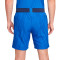 Short Nike Francia Training Mundial Qatar 2022