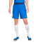Short Nike Francia Training Mundial Qatar 2022