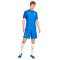 Short Nike Francia Training Mundial Qatar 2022