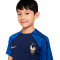 Camiseta Francia Training Mundial Qatar 2022 Niño Midnight Navy-Game Royal