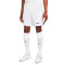 Nike Liverpool FC Away Kit Stadium 2022-2023 Shorts