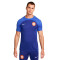 Camiseta Nike Holanda Training Mundial Qatar 2022