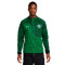 Chaqueta Nike Nigeria Pre-Match Mundial Qatar 2022