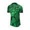 Camiseta Nigeria Primera Equipación Stadium Mundial Qatar 2022 Green Spark-Pine Green-Black