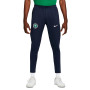 Nigeria Training Mundial Qatar 2022