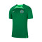 Camiseta Nigeria Training Mundial Qatar 2022 Pine Green-Green Strike