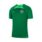 Dres Nike Nigeria Training Mundial Qatar 2022