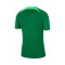 Nike Nigeria Training Mundial Qatar 2022 Jersey