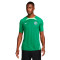 Camiseta Nigeria Training Mundial Qatar 2022 Pine Green-Green Strike
