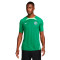 Camiseta Nike Nigeria Training Mundial Qatar 2022