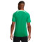 Camiseta Nigeria Training Mundial Qatar 2022 Pine Green-Green Strike