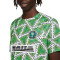 Camiseta Nigeria Pre-Match Mundial Qatar 2022 Green Strike-Green Spark-Black
