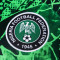 Camiseta Nigeria Primera Equipación Mundial Qatar 2022 Niño Green Spark-Pine Green-Black