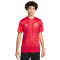 Camiseta Turquía Segunda Equipación Stadium Mundial Qatar 2022 University Red-Gym Red
