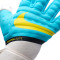 Nike Phantom Elite Handschoen