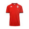 Camiseta AS Monaco Training 2022-2023 Red Dark-Grey Dark