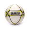 Munich Prisma Football Ball