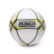 Munich Prisma Indoor Ball