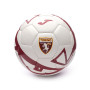 Torino FC 2022-2023