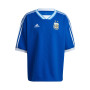Argentina Fanswear Mundial Qatar 2022 Royal Blue