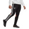 Pantalón largo Alemania Fanswear Mundial Qatar 2022 Black-White