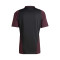 Camiseta Alemania Training Mundial Qatar 2022 Shadow Maroon