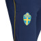 Pantalón largo Suecia Training 2022-2023 Navy Blue-Yellow