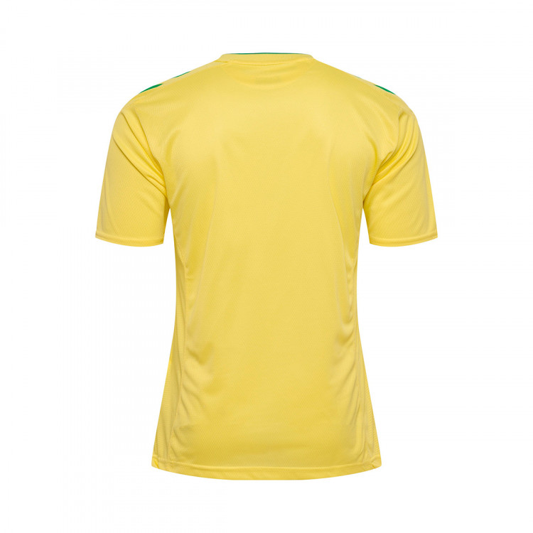 camiseta-hummel-real-betis-balompie-primera-equipacion-portero-2022-2023-limelight-2.jpg