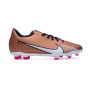 Mercurial Vapor 15 Club FG/MG Niño Metallic Cooper