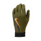 Guante Academy Therma-Fit Black-Rough green-Kumquat