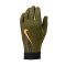 Nike Academy Therma-Fit Handschoen