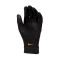 Guante Academy Therma-Fit Black-Rough green-Kumquat
