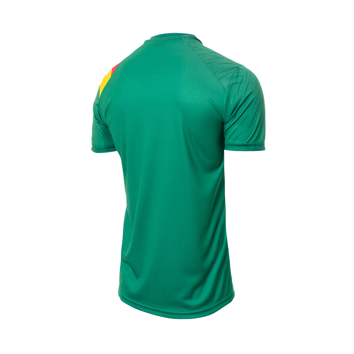 cameroon goalkeeper shirt
