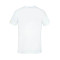 Camiseta Camerún Fanswear Mundial Qatar 2022 White