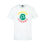 Camerun Fanswear Mondiale Qatar 2022
