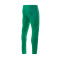 Pantalón largo Camerún Training Mundial Qatar 2022 Green