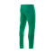 Le coq sportif Camerún Training World Cup 2022 Lange Hosen