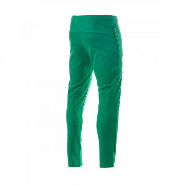 pantalon-largo-le-coq-sportif-camerun-training-world-cup-2022-verde-1