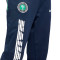 Nike Nigeria Fanswear Qatar World Cup 2022 Long pants