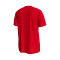 Camiseta Inglaterra Fanswear Mundial Qatar 2022 Challenge Red