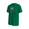 Camiseta Nigeria Fanswear Mundial Qatar 2022 Pine Green