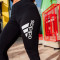 Podhlače adidas Future Icons Badge Of Sports Tight Mujer